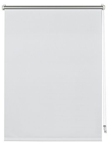 Deco Company Gardinia 23 - 1038 - Estor térmico, plástico, Blanco, 150 x 100 x 5 cm