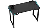 Newskill Fenrir - Escritorio Gaming Profesional con Iluminación RGB (controlable a través de su Touchpad Integrado) Color Negro de Diseño Ergonómico y entradas USB y de Audio integradas