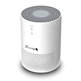 Winxinbuy Purificador de Aire, Triple Filtración y Tres Velocidades Ajustables, Silencioso, con Filtro HEPA y Carbón Activado, Eliminar Bacterias, Polen, Polvo, Humo del Cigarrillo, y Olor de la Casa