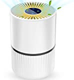 Laluztop Purificador de Aire, con HEPA Carbón Activado para Hogar Oficina, 3 Modos y Temporizador de 2/4/8H,＜ 20db,Captura Alergias, Polvo, Humo, Caspa de Mascotas,Olor, PM2.5