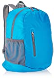 Amazon Basics - Mochila Ligera Plegable, Azul Claro