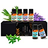 MAINELUX Aceites Esenciales para Humidificador, 100% Natural Puro Aromaterapia Top 6 Set de Regalo de Aceites Aromáticos 6 x 10 ml (Lavanda Hierba de Limón Menta Eucalipto Árbol de té y Naranja dulce)