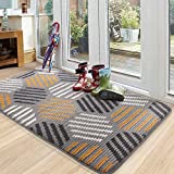 Color G Felpudo de Entrada, Interior Alfombra Antideslizante, Tapete para Puerta Lavable a Máquina, Absorbente para Pasillo, Cocina, Jardín, 60 x 90 cm, Gris